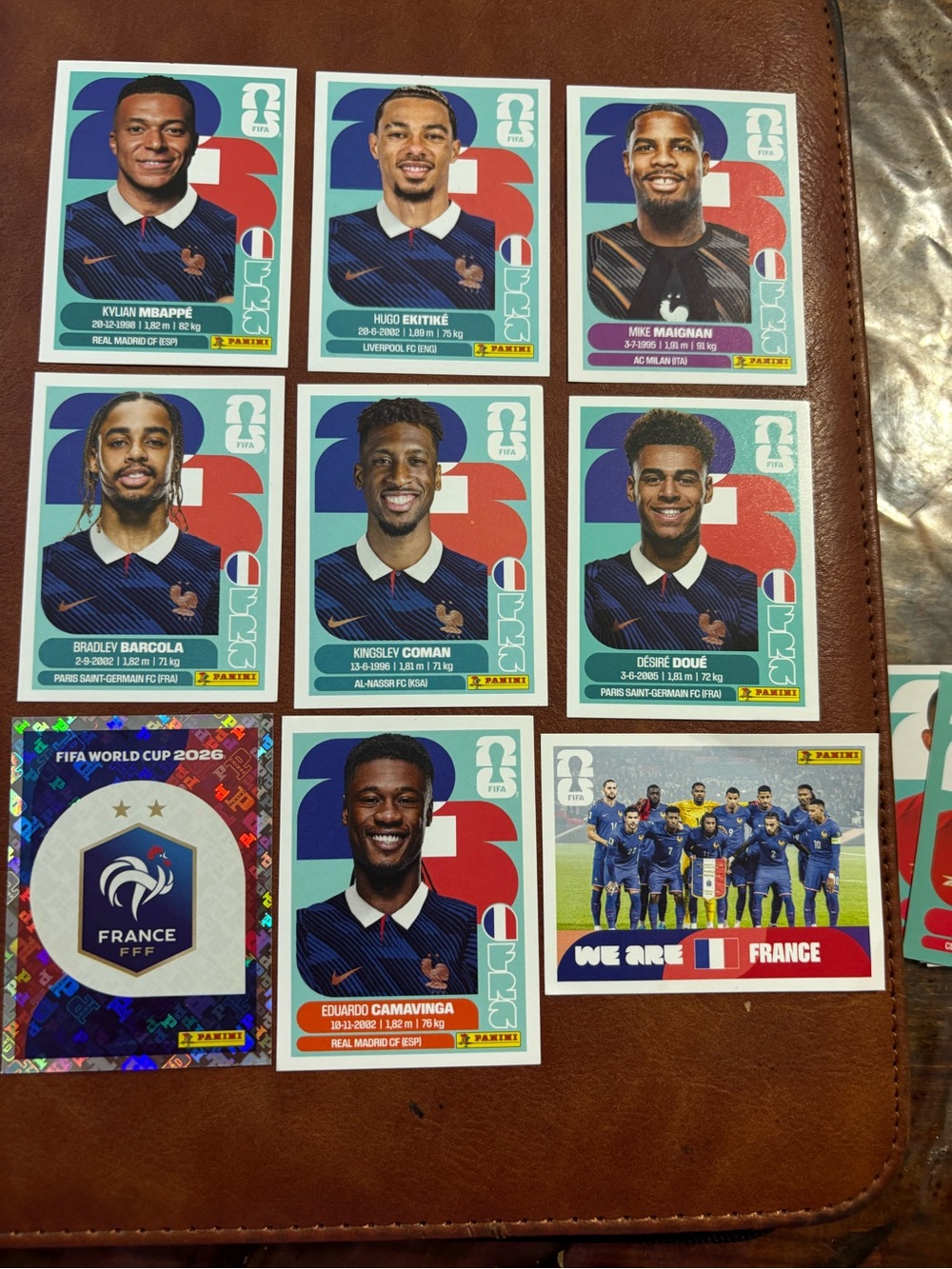 Panini FIFA World Cup 2026 Sticker Backs - White/Gray/Black